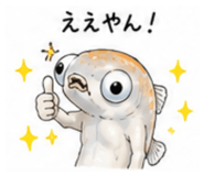 856169137