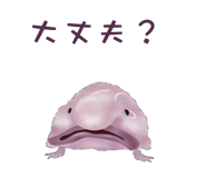 856170815