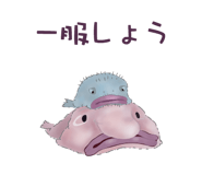 856170816