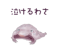 856170822