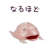 856170827