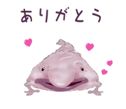 856170832