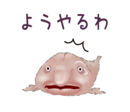 856170834