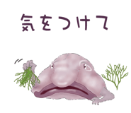 856170838