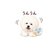 856170870