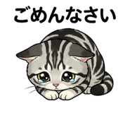 856170962