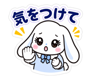 856171304