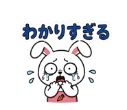 856171416