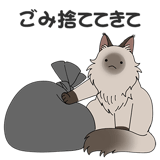 856171887