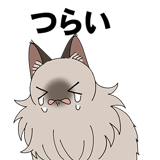 856171888