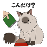 856171897
