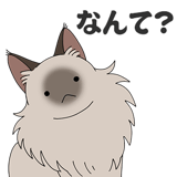 856171901