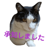 856172185