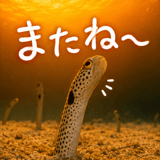 856173176