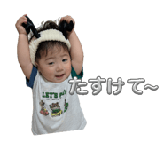 856181207