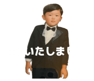856181341