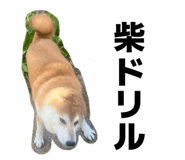856191833