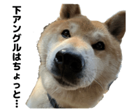 856191835