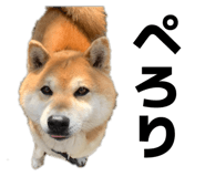 856191836