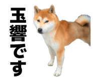 856191840