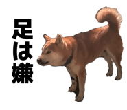 856191842