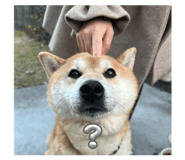 856191846