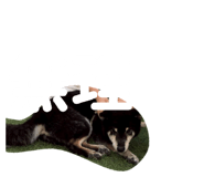 856193435