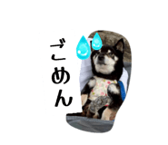 856193440