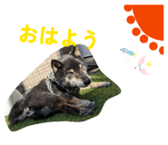 856193457