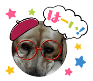 856193648