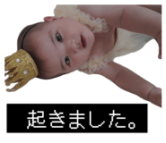 856194062