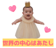 856194065