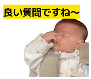 856194078