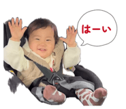 856194224