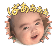856194241
