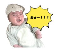 856194254
