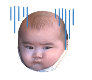 856194260