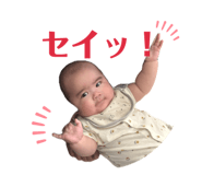 856194262
