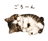 856194315