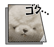 856195289