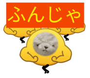 856195294