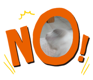 856195327