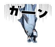 856195575