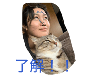 856195587