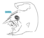 856195618