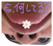 856195681