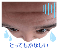 856195687