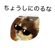 856195747