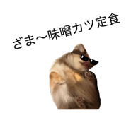 856195751