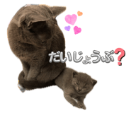 856197200